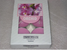 ����:   48.00 ���/����