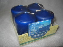 ����:   120.00 ���/����