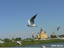 ������������� �����