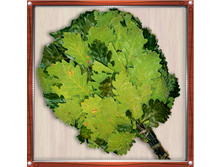 ����� �� ����������� ���� 60 ���.