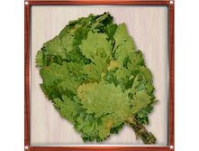 ����� «������» �� ����������� ����  74 ���.