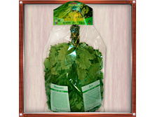 ����� ��������� - ��� \\\"������\\\" � ���������� � ���. �������� 90 ���