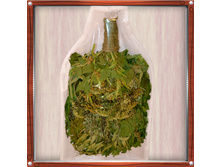 ����� � ������� - ��� \\\"������\\\" � VIP-�������� 180 ���.