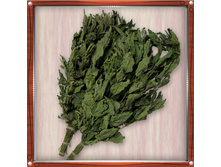 ����� �� ������� 70 ���.