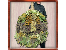 �������� �����  3500 ���.