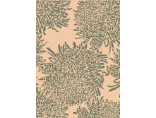 20170 Mais-Olivegreen