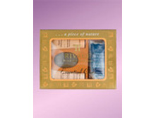 ���������� �������� – ������������ ������� ����