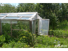 � ���� ���������...