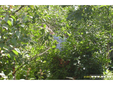 � ��� �����))))))