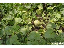 ������ -2