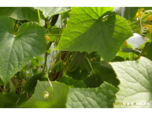 �������...