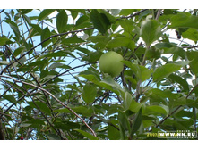 ������������ ������� �� ���� ������...