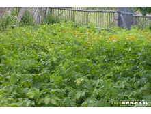 �������� ����...