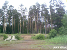 � ��� ����� ������