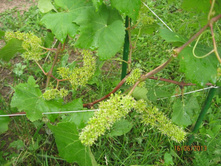 �������� ������ �� ������ ���