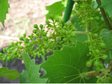 ���������� ������ ������