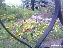 ���������� ��� �������� ������, ... ������� ������...