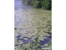 ������� ������� ����� ����� ���������� �����...