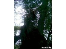 �� ���� ����� ������ �����������, �� ���� �������� �������