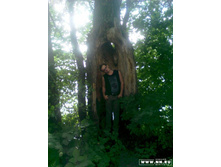 ���������� ������...