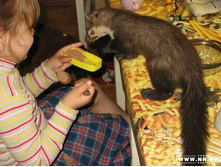 ����� �����!!