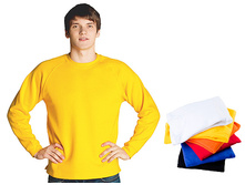 13  StanSweater ���� 495 �