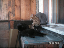 PICT0082.JPG