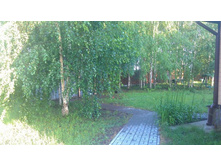 557.jpg