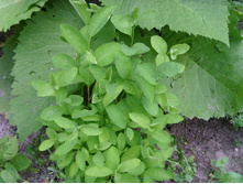 �� � ��� �� ��� �����?