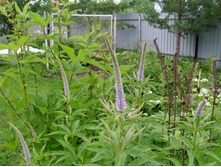 �������������