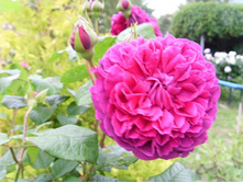 �.������� ������