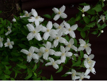 �������� ��������