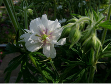 ��� �� ����? ������?