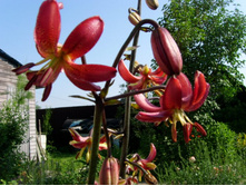 ��������. ����� �������� 2����