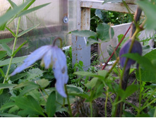 ������ ������ ��������