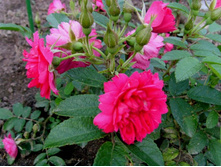 �����������-2