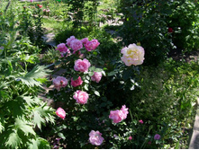 �������� � ������ ����.JPG