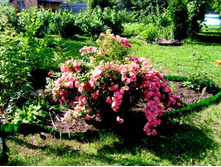 ���� �����.JPG