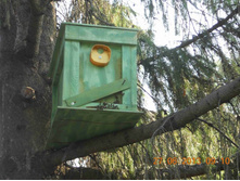 �� ������. ���������.