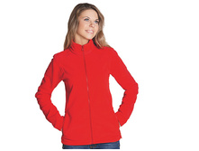 21W  StanSoft W ���� 765 �