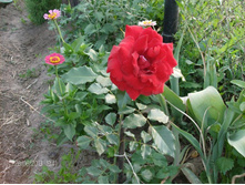 ������� 2.jpg