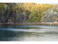 ���, ����� ���.jpg