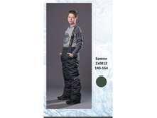 2�0812	����� ��� ��������	 		 		 		 		