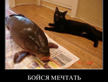 boysya-mechtat-mechty-sbyvayutsya.jpg