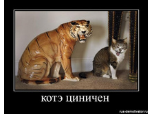 kote-tsinichen.jpg