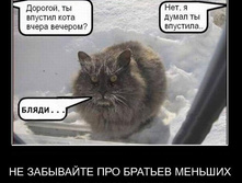 nezabivayte-pro-bratyev-mensheh.jpg