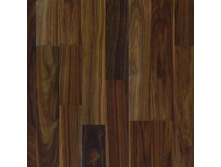 CFX 059 ���� 2-� ��������. 450���.+%