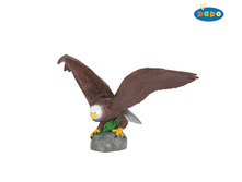 50030 �ң�.jpg