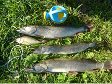 ��������� 30.06.2013_1.JPG