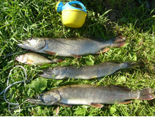 ��������� 30.06.2013_2.JPG